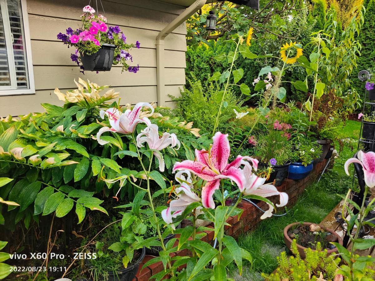 Romantic Homestay Coquitlam Rum bild