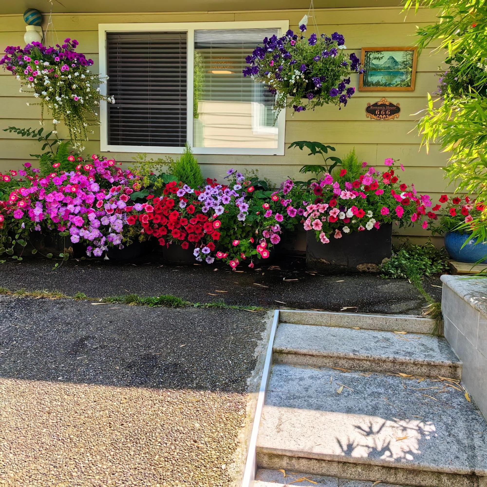 Romantic Homestay Coquitlam Exteriör bild